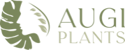 Augi Plants